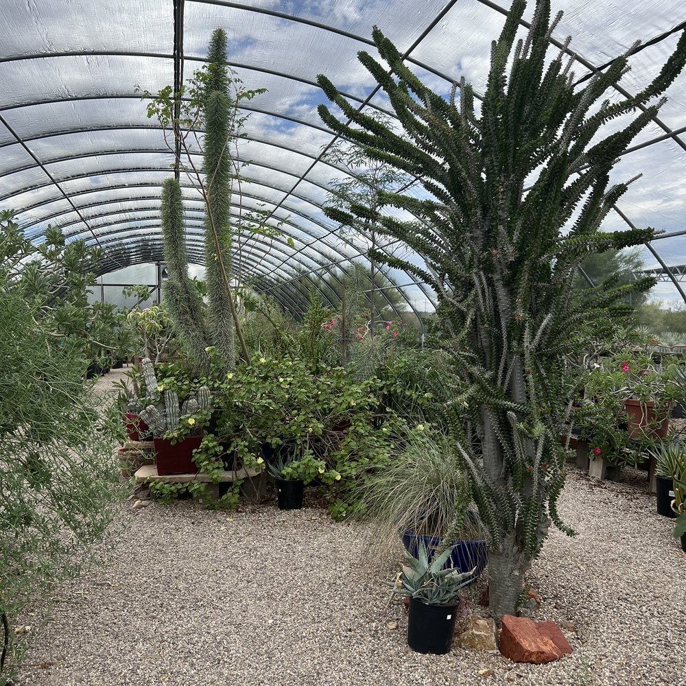 B & B cactus farm B & B cactus farm