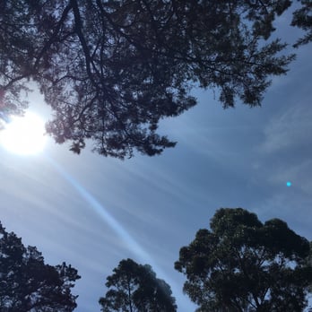 Joaquin Miller Park - Parks Near Me - Oakland, California