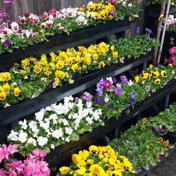 Levengood's Flowers - Florists Near Me - Douglassville, Pennsylvania Levengood's Flowers - Florists Near Me - Douglassville, Pennsylvania