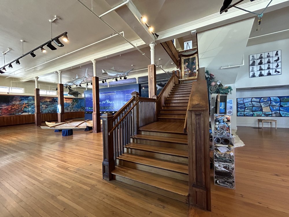 MOKUPAPAPA DISCOVERY CENTER Updated September 2024 68 Photos & 23