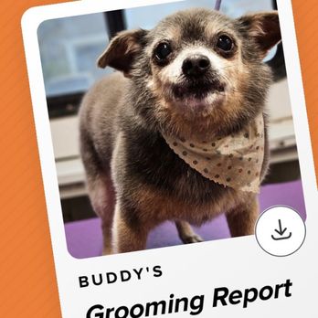 Vanity Fur Menifee - Pet Groomers Near Me Vanity Fur Menifee - Pet Groomers Near Me