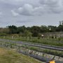 Photo of Ananda Farm