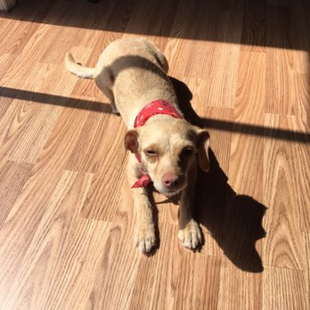 Central Pet Supply & Grooming - Pet Groomers Near Me - Virginia Beach, Virginia