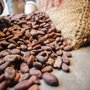 Photo of Groovy Brussels Chocolate Tours