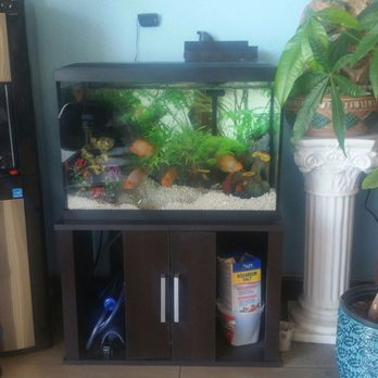 Modern Image - Nice aquarium - Hair Salons Near Me - Milpitas, California