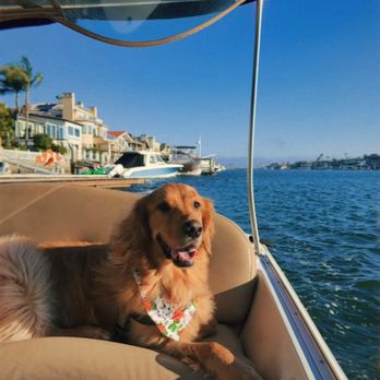 Sundream Rentals - His first time on a boat! :) - Boating Near Me - Huntington Beach, California