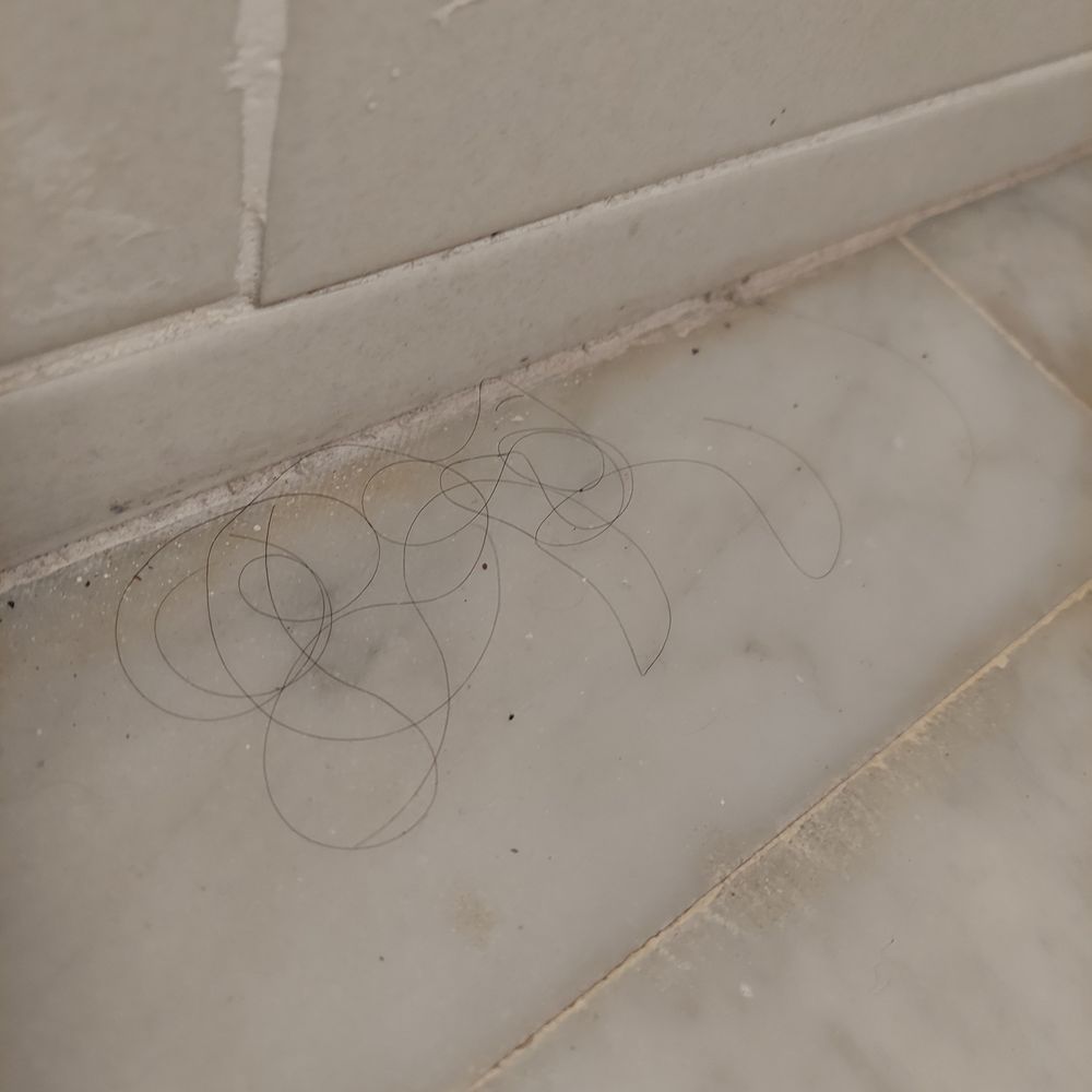 Condado Del Mar - Not my hair!!! Both guest were men with short hair - Apartments Near Me - San Juan, Puerto Rico Condado Del Mar - Not my hair!!! Both guest were men with short hair - Apartments Near Me - San Juan, Puerto Rico