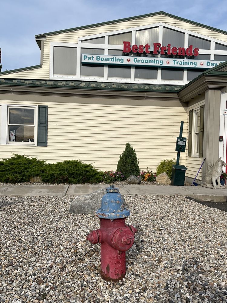 BEST FRIENDS PET HOTEL 51 Photos & 54 Reviews 1511 Silas Deane Hwy, Rocky Hill, Connecticut