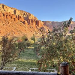 Lodge At Red River Ranch - Looking out our bedroom door at the apples and Red Mountains
