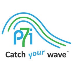 Protean7 Interactive LLC - Protean7 Interactive LLC Web design and development