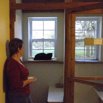 The Cat’s Cradle - Pet Boarding Near Me - Slate Hill, New York