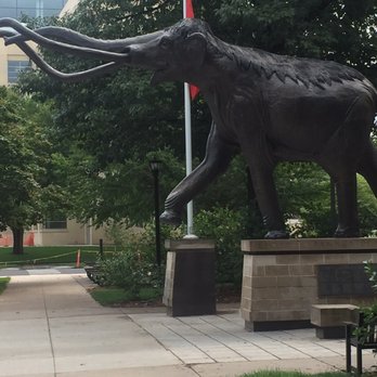 Morrill Hall - Some pics - Museums Near Me - Lincoln, Nebraska Morrill Hall - Some pics - Museums Near Me - Lincoln, Nebraska