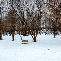 Chisago City Dog Park