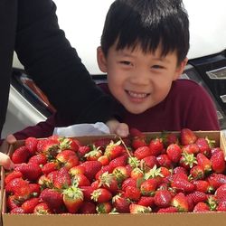 Locklear Farms