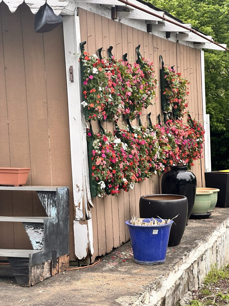 FLOWERS BY MARIA Updated October 2024 31 Photos & 12 Reviews 147