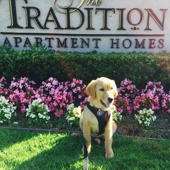 The Tradition Apartments - Loving our apartment home! - Apartments Near Me - Carlsbad, California The Tradition Apartments - Loving our apartment home! - Apartments Near Me - Carlsbad, California