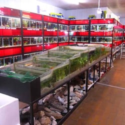 L'Aquarium
