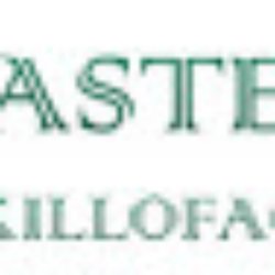 Nelson P Castellano, DDS - Nelson P. Castellano, D.D.S. logo