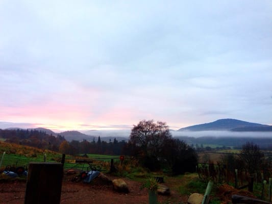 Comrie Croft by null