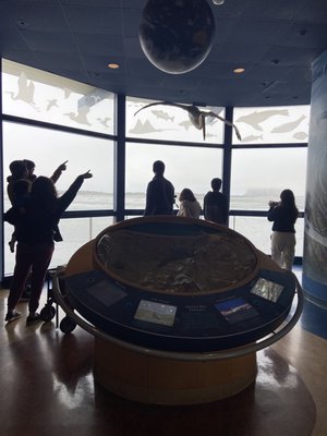 Morro Bay State Park by null