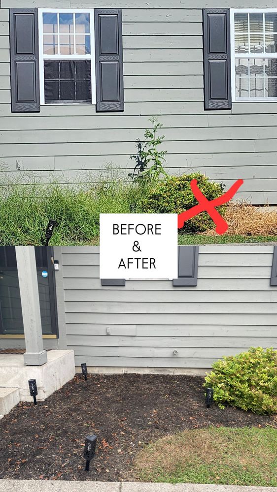 Two Guys & A Lawn - tree service in Westerville, OH