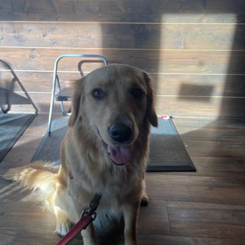 Somewhere In The Middle Coffee Shop - Rockie approved!!!! - Coffee & Tea Near Me - Bondurant, Iowa Somewhere In The Middle Coffee Shop - Rockie approved!!!! - Coffee & Tea Near Me - Bondurant, Iowa