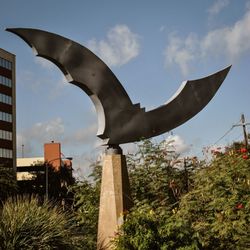 Bats Under the Congress Avenue Bridge