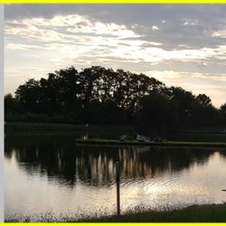 B & G Levasy Lake & Pond Stock