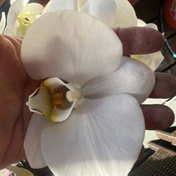 6 Star Florist And Gifts Corina