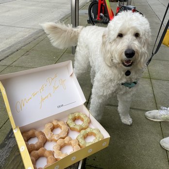 Mochinut - Seattle - Donuts Near Me - Seattle, Washington Mochinut - Seattle - Donuts Near Me - Seattle, Washington