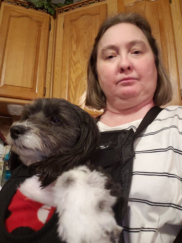 PETCO Pet Training 600 US Hwy 441, The Villages, FL Phone Number Yelp