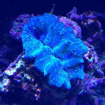 Seattle Aquarium - Aquariums Near Me - Seattle, Washington Seattle Aquarium - Aquariums Near Me - Seattle, Washington