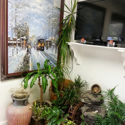 Alterna Wellness Center - Clean and tidy reception room
