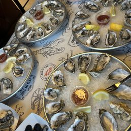 Oysters