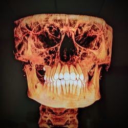 Lifetime Orthodontics