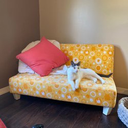 Village Discount Outlet - Nice two dollar pillow!
