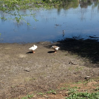 Lindo Lake County Park - Parks Near Me - Lakeside, California