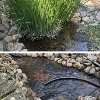 Pure Pond Solutions - Garden pond had a foot of muck and an overgrowth of plants, made for some good before and after pictures! - Irrigation Near Me - Byron Center, Michigan Pure Pond Solutions - Garden pond had a foot of muck and an overgrowth of plants, made for some good before and after pictures! - Irrigation Near Me - Byron Center, Michigan