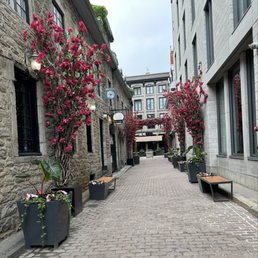 View from outside the cafe.