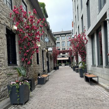 Café Olimpico - View from outside the cafe. - Desserts Near Me - Montreal, Quebec