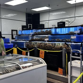 H Mart - Orlando - Live lobster, crab, etc. - International Grocery Near Me - Pine Hills, Florida H Mart - Orlando - Live lobster, crab, etc. - International Grocery Near Me - Pine Hills, Florida