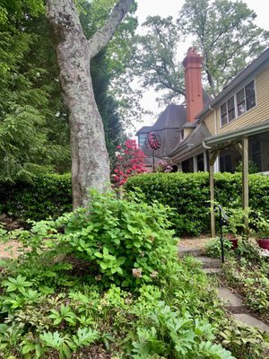Sugar Magnolia Bed & Breakfast by null