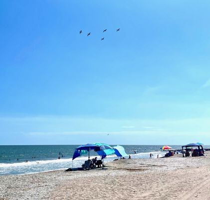 Edisto Beach State Park by null