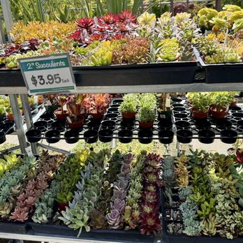 East Bay Nursery - Nurseries & Gardening Near Me - Berkeley, California