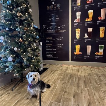 TP Tea - Pleasanton - Bubble Tea Near Me - Pleasanton, California TP Tea - Pleasanton - Bubble Tea Near Me - Pleasanton, California
