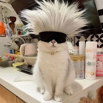 Caliva - Caliva Cool Cat - Cannabis Clinics Near Me - San Jose, California Caliva - Caliva Cool Cat - Cannabis Clinics Near Me - San Jose, California