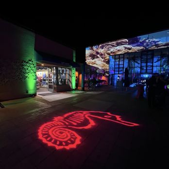 Birch Aquarium - Lights - Aquariums Near Me - La Jolla, California
