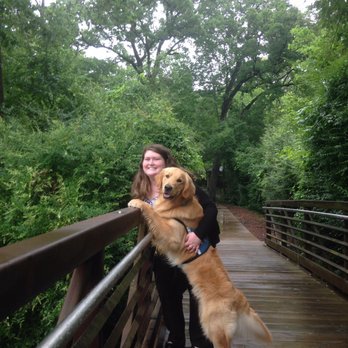 K9 to 5 Dog training - K9 to 5's trainer - Pet Training Near Me