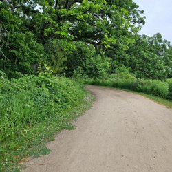 Rollins Savanna