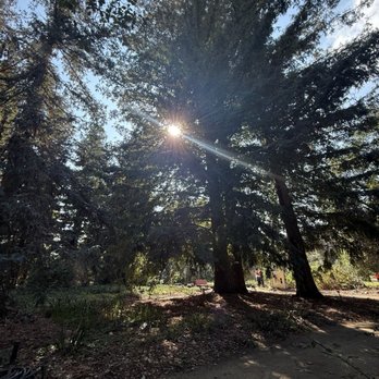 California Botanic Garden - Botanical Gardens Near Me - Claremont, California